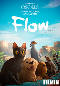 Flow