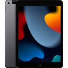 Apple iPad 9th Generación 2021 256GB Gris espacial